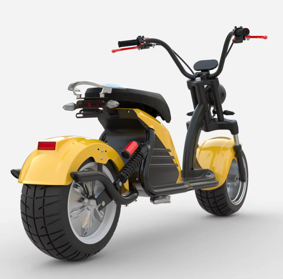 Scooter tout-terrain 3000 W