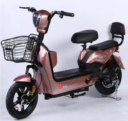 Scooter électrique STLF