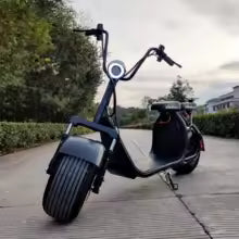 Scooter électrique X10 Harley  1500 W