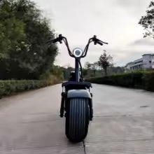 Scooter électrique X10 Harley  1500 W